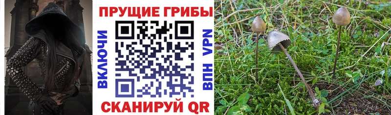 Псилоцибиновые грибы ЛСД  Купить закладки  Черепаново 